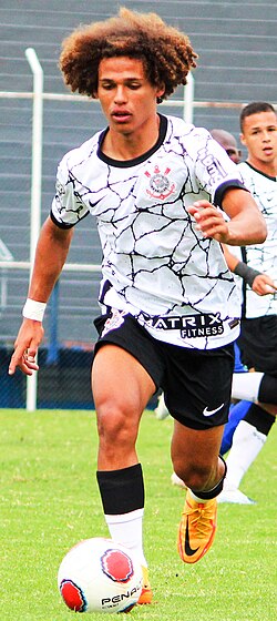 Referência visual de Guilherme Biro